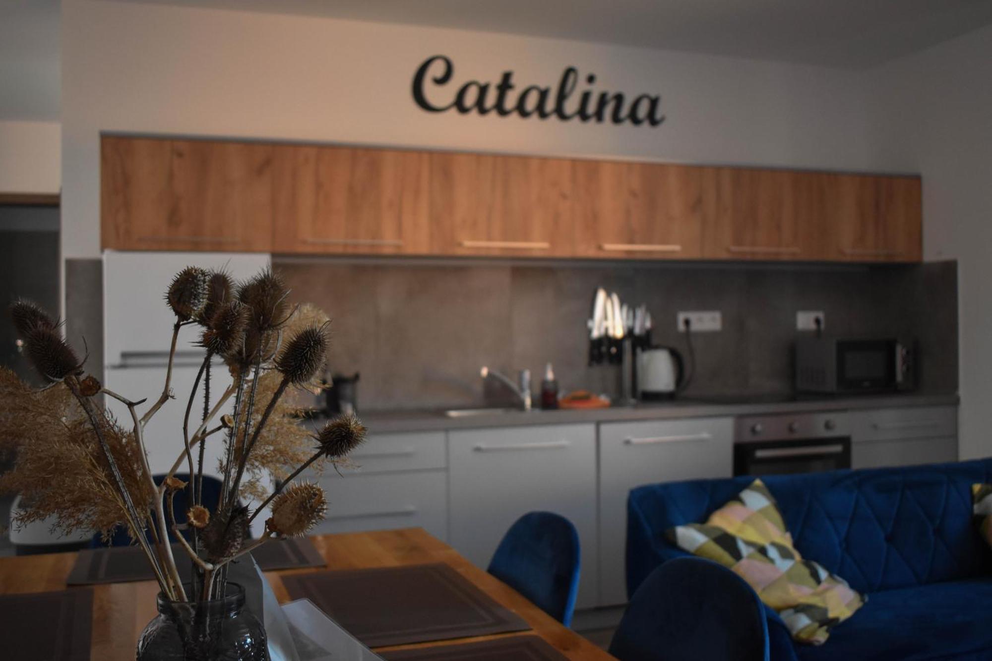 Apartmany Catalina Nesvady المظهر الخارجي الصورة